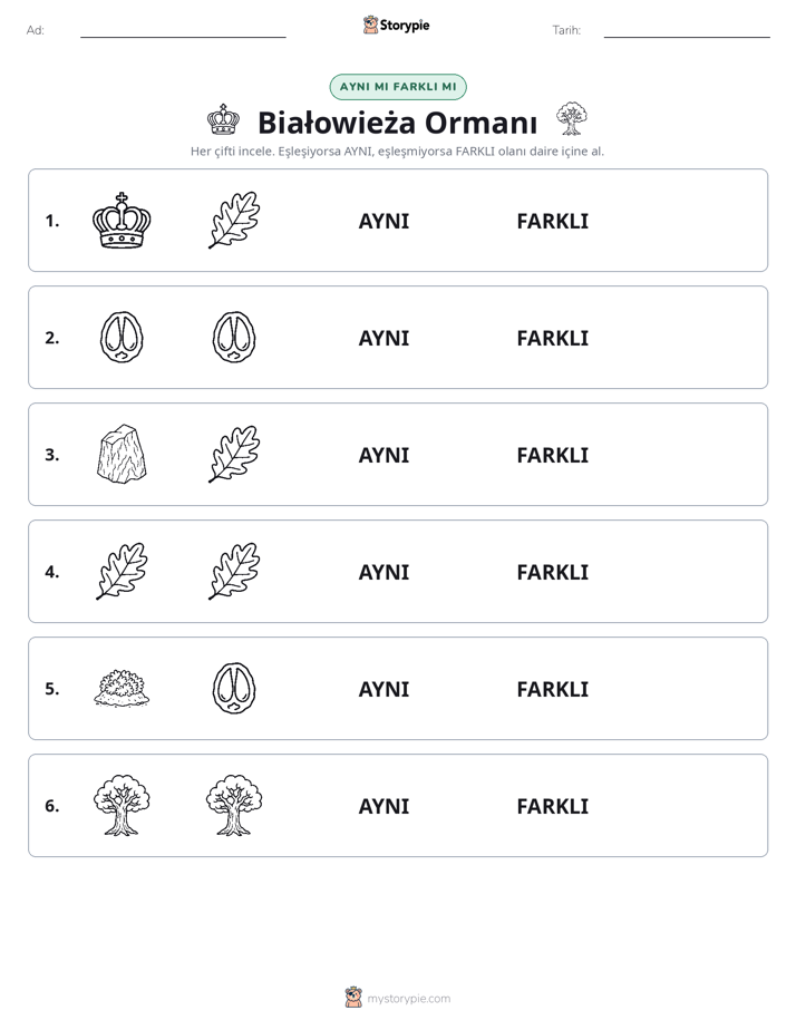 Aynı mı Farklı mı