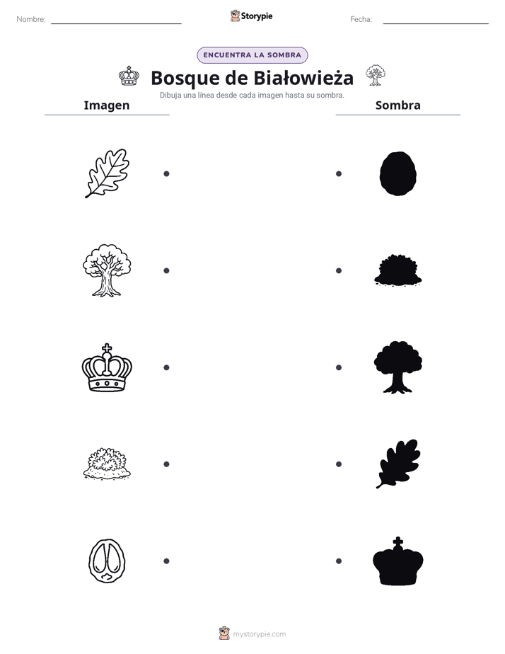 Coincidencia de Sombras