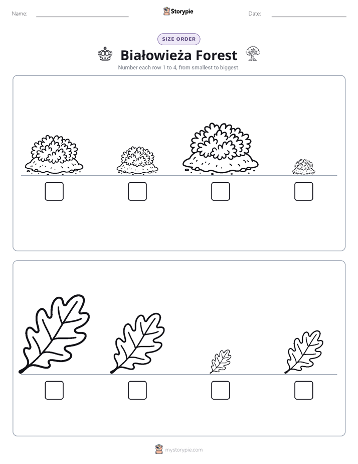 Size Order