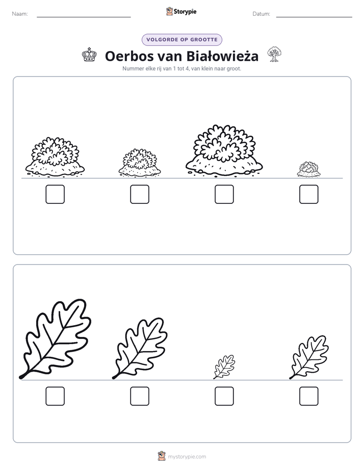 Grootte Volgorde