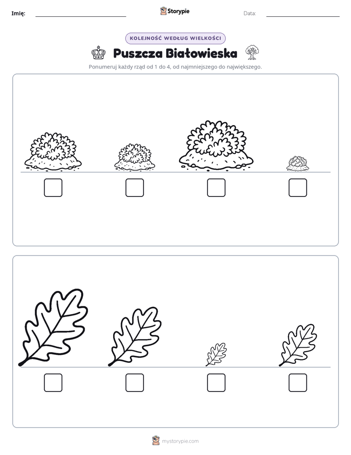 Porządek rozmiarów