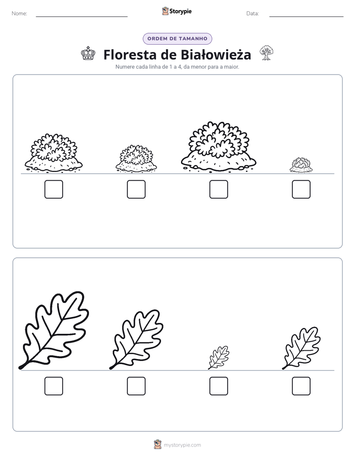 Ordem de Tamanho