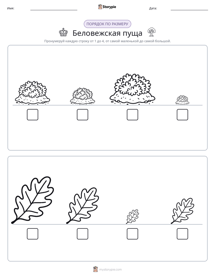 Размеры в порядке