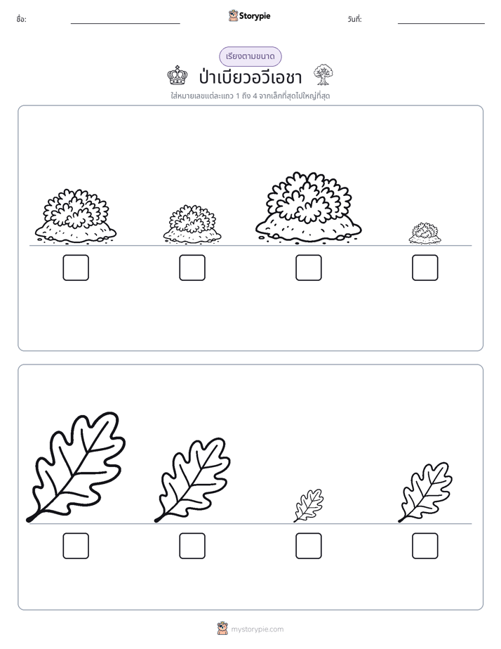 ลำดับขนาด