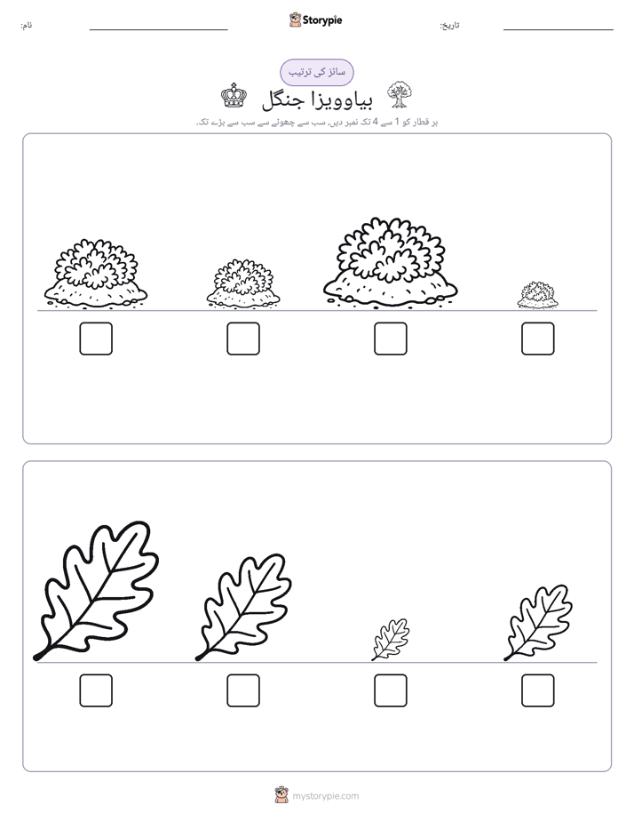 سائز کی ترتیب