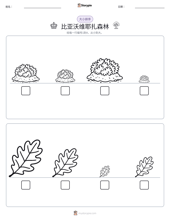 大小排序