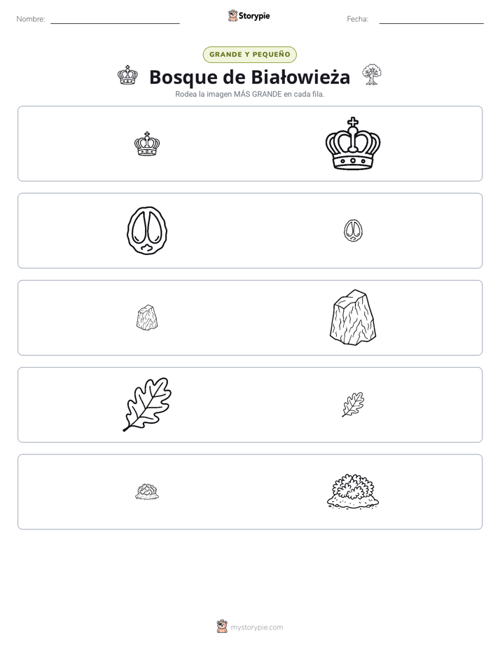Clasificación