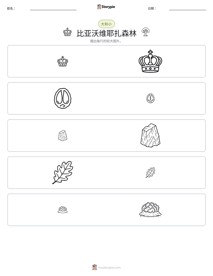 分类