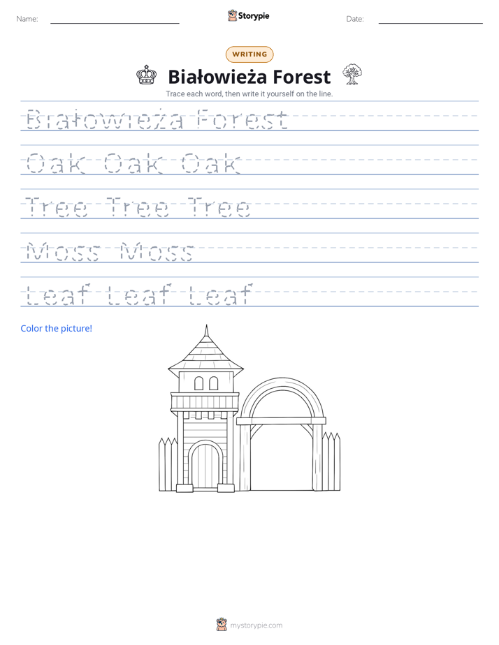 Writing Practice