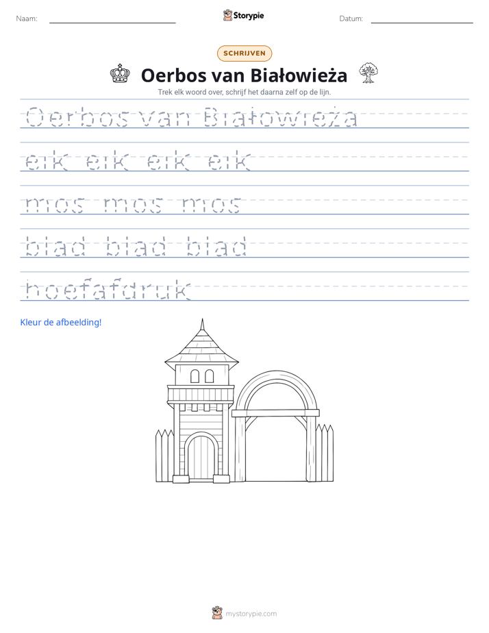 Schrijf Oefening