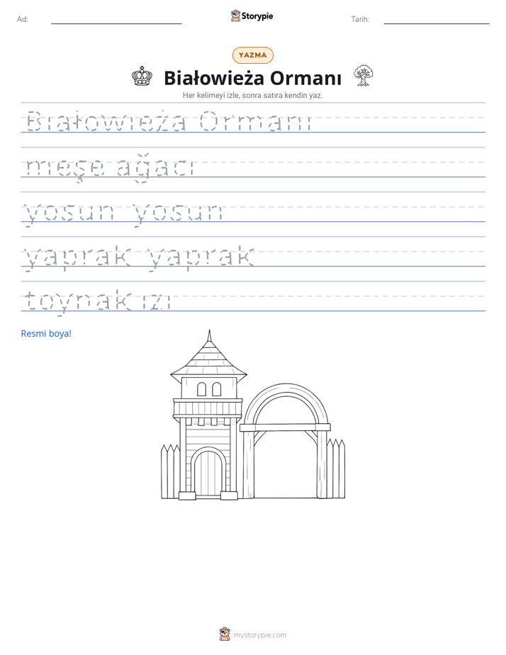 Yazma Pratiği