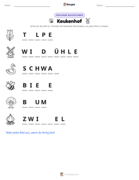 Keukenhof druckbare Arbeitsblatt Vorschau