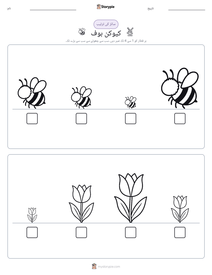سائز کی ترتیب