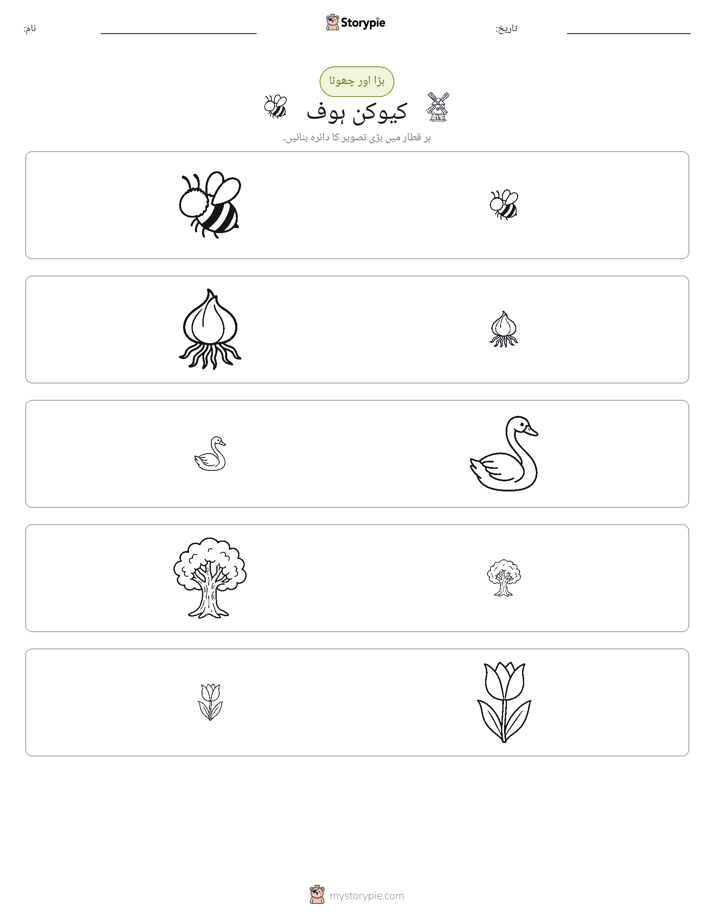 ترتیب دینا