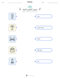 معاينة ورقة العمل القابلة للطباعة جسور الجذور الحية