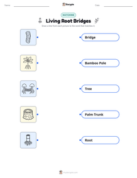 Living Root Bridges printable worksheet preview
