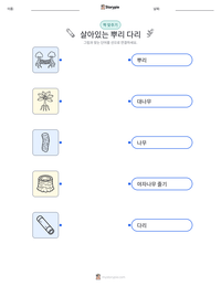 살아있는 뿌리 다리 인쇄 가능한 워크시트 미리보기