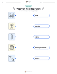 Yaşayan Kök Köprüleri yazdırılabilir çalışma sayfası önizlemesi