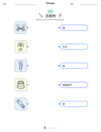活根桥 可打印工作表预览