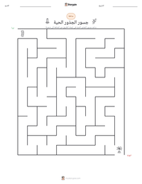 معاينة ورقة العمل القابلة للطباعة جسور الجذور الحية