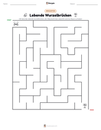 Lebende Wurzelbrücken druckbare Arbeitsblatt Vorschau