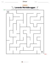 Levende Wortelbruggen afdrukbare werkblad voorbeeld