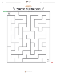 Yaşayan Kök Köprüleri yazdırılabilir çalışma sayfası önizlemesi