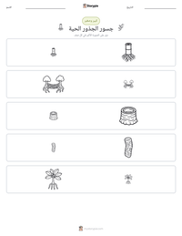 معاينة ورقة العمل القابلة للطباعة جسور الجذور الحية