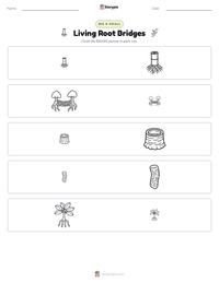 Living Root Bridges printable worksheet preview