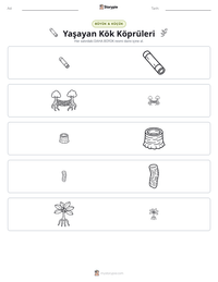 Yaşayan Kök Köprüleri yazdırılabilir çalışma sayfası önizlemesi