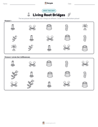 Living Root Bridges printable worksheet preview