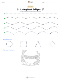 Living Root Bridges printable worksheet preview