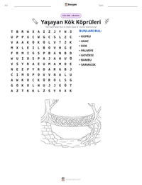 Yaşayan Kök Köprüleri yazdırılabilir çalışma sayfası önizlemesi