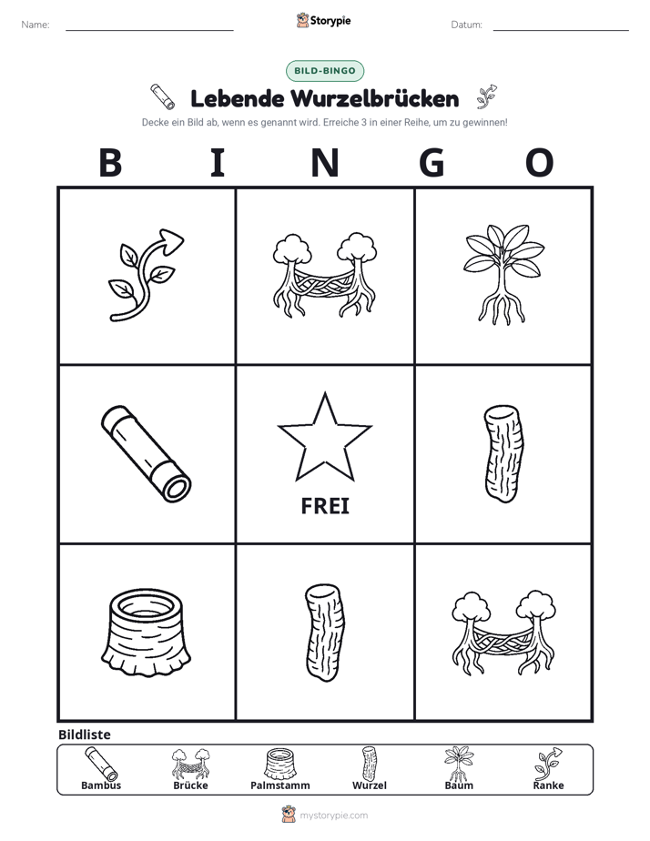 Bild-Bingo