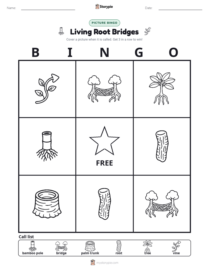 Picture Bingo