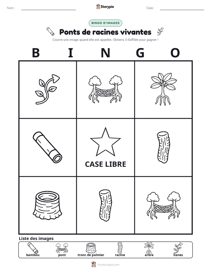 Bingo d'Images