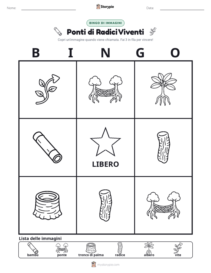 Bingo delle Immagini