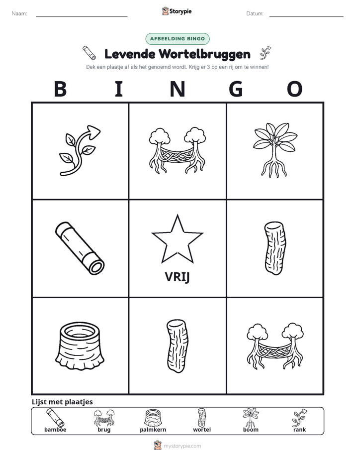 Afbeelding Bingo