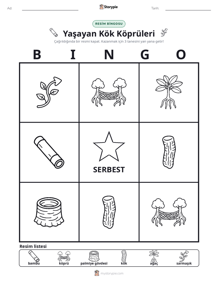 Resim Bingo