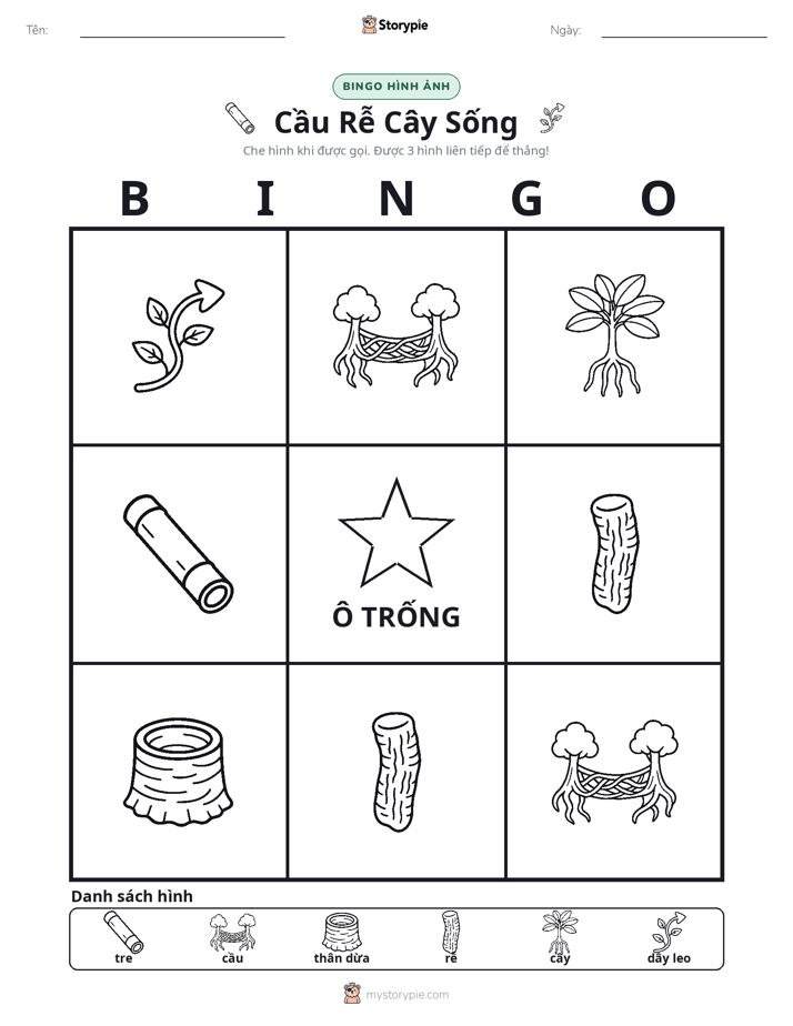 Bingo Hình Ảnh