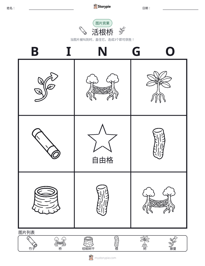图片宾果