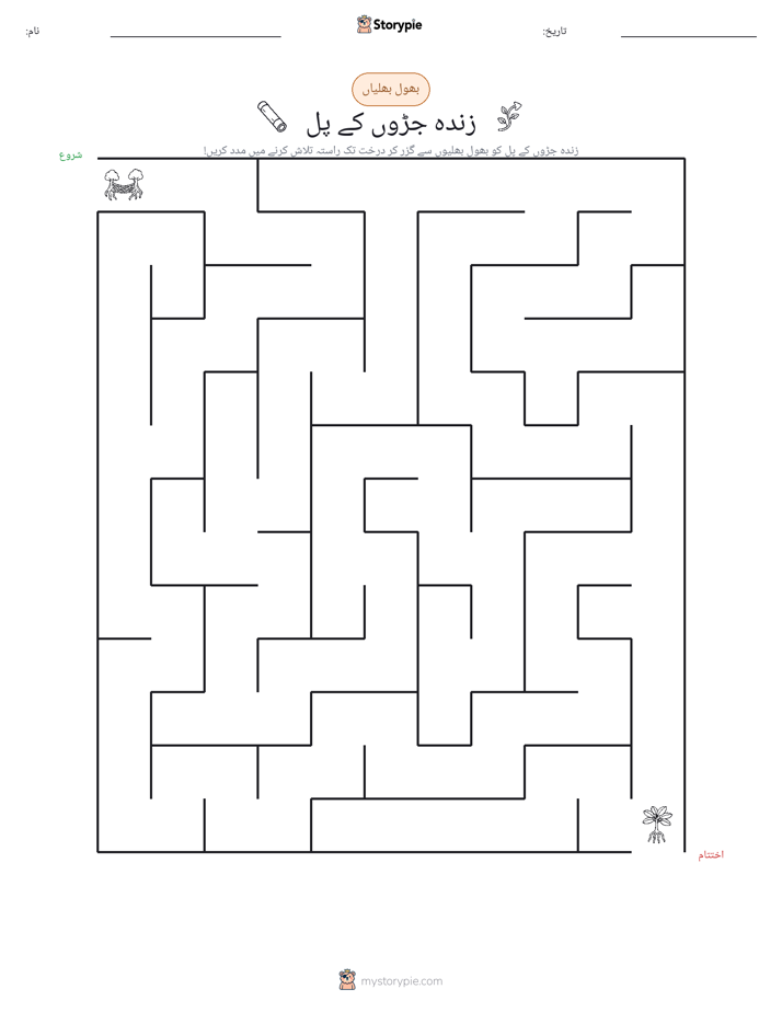 بھول بھلیاں