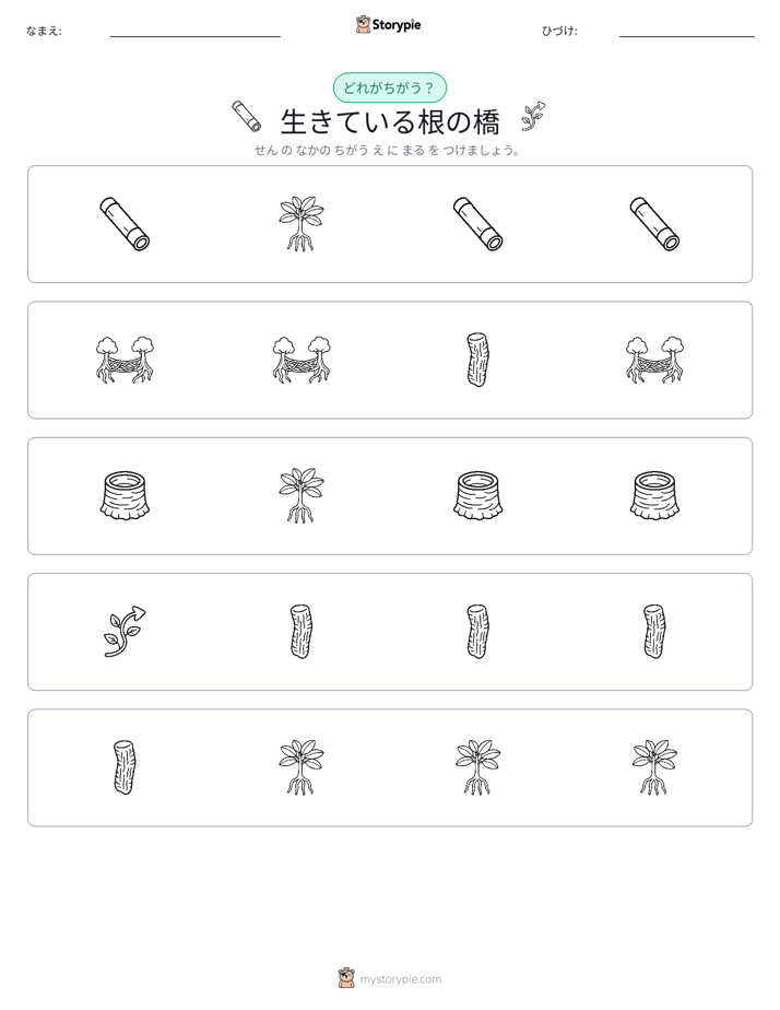 異なるものを見つけよう