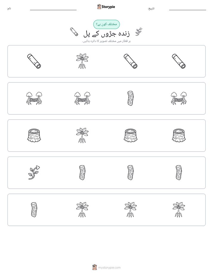 عجیب ایک