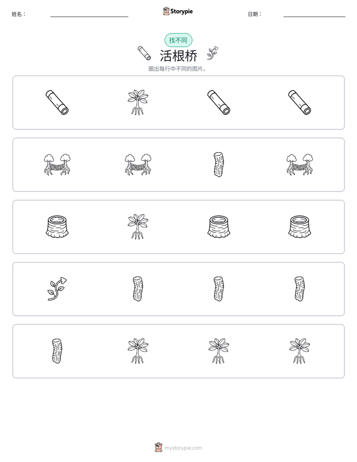 找不同