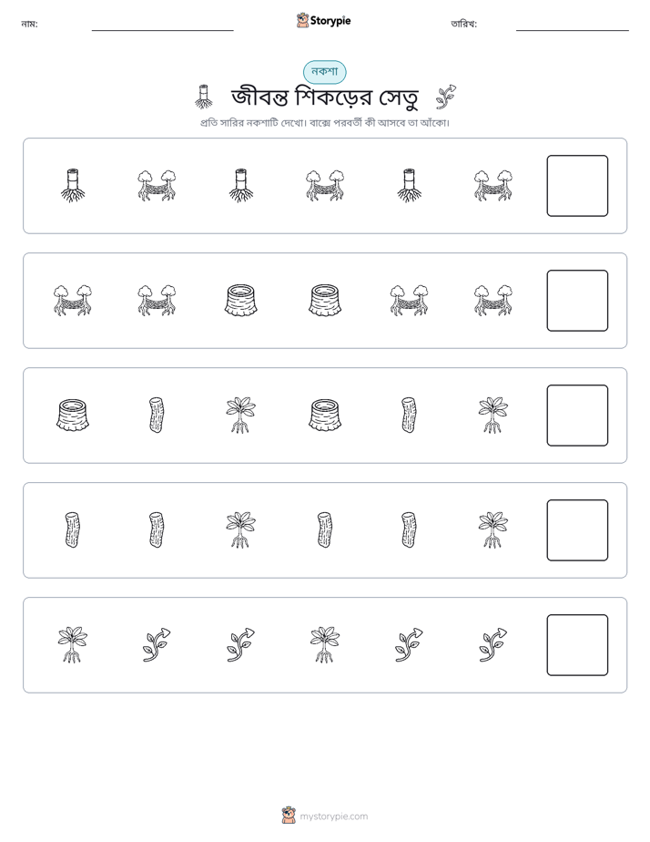 প্যাটার্ন
