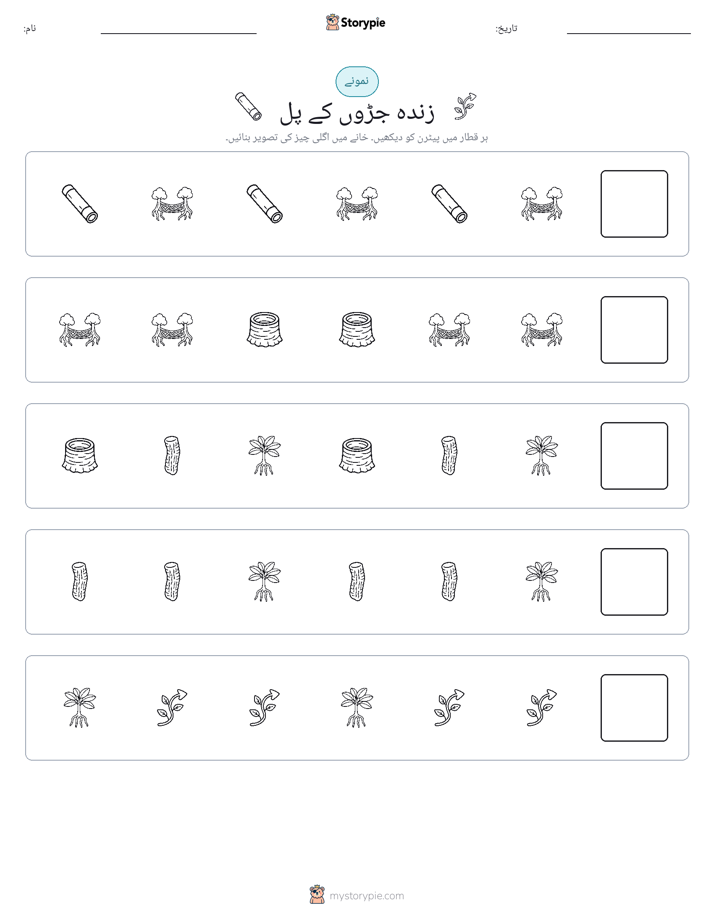 پیٹرن