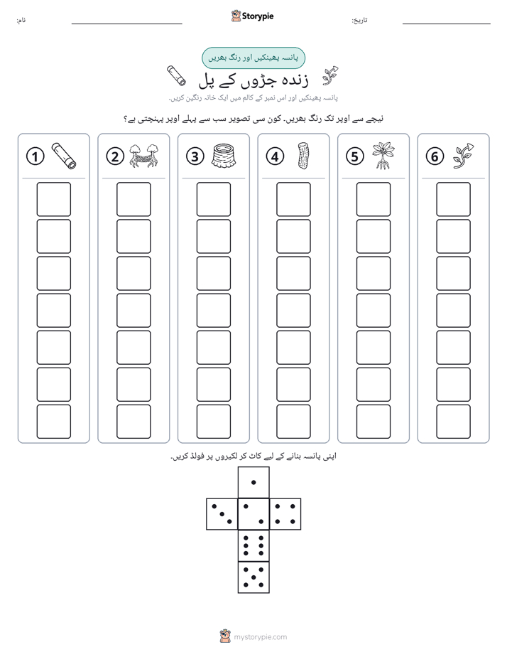 رول اور رنگ