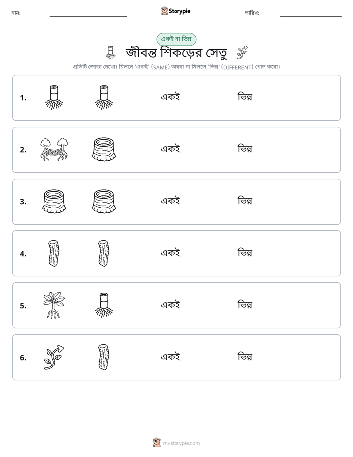 একই বা ভিন্ন