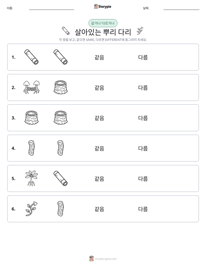 같은 것 또는 다른 것